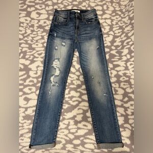 Buckle Willow & Root High Rise Distressed Skinny Jeans Size 23